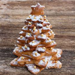 Toutes nos idées de recettes pour la cuisine de Noël et notamment des idées pour un dessert de Noël réussi.