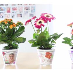Une activité à faire avec les enfants : le pot de fleurs à décorer