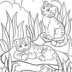 Tigre asiatique à colorier
