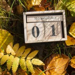 La Toussaint tombe le 1er novembre, c'est la fÍte chrétienne de tous les saints. La Toussaint précède la fÍte des morts qui a lieu le 2 novembre, mais le 2 novembre n'étant pas fér