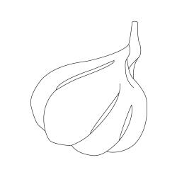 Coloriage reproduction du fraisier