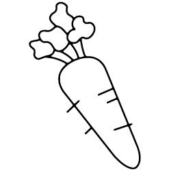coloriage légume : un pied de céleris 
