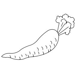 coloriage légume : un poireau 