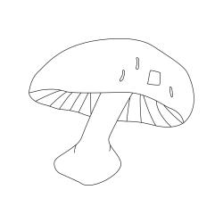 Pleurotes à colorier