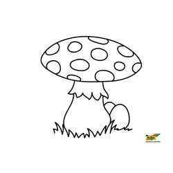 Pleurotes à colorier