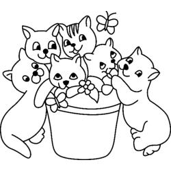 Chat 01 - Motif à décorer