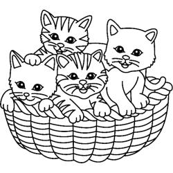 Coloriage enfant : Coloriage du chat tache