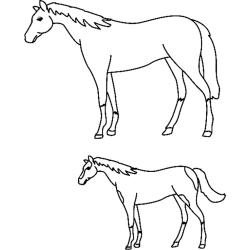 Cheval 01 - Motif à décorer