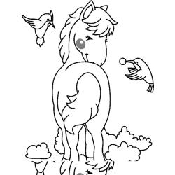 Poney 01 - Motif à décorer