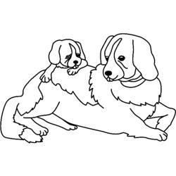 Coloriage de chiot