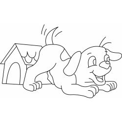 coloriage teckel