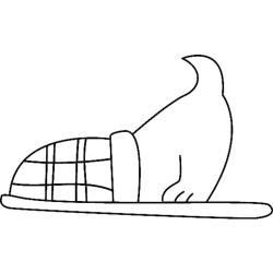 coloriage shiba inu