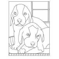 Coloriage chiot voiture