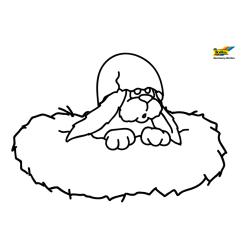 coloriage dogue allemand
