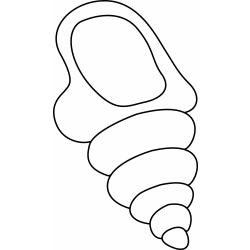 Dessin de coquillages Conques