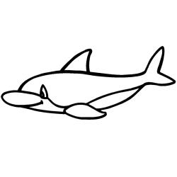 Dauphin 02 - Motif à décorer