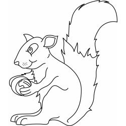 Coloriage d'un écureuil kawaii