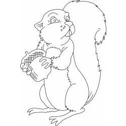 Coloriage d'un écureuil kawaii