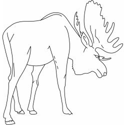 Coloriage d'un faon #09