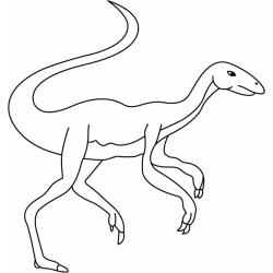 Dragon - Motif à décorer