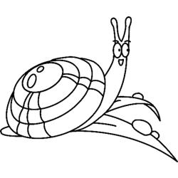 Coloriage escargot rapide