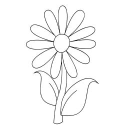 Dessin fleur #14