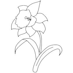 Dessin fleur #15