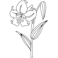 Fleur 001 - Motif à décorer