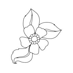 Fleur 006 - Motif à décorer