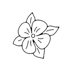 Fleur 014 - Motif à décorer