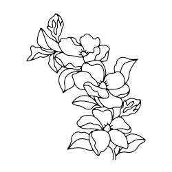 Fleurs 005 - Motif à décorer