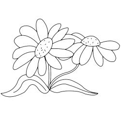 Fleurs 006 - Motif à décorer