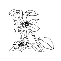 Fleurs 009 - Motif à décorer
