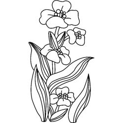 Fleurs 017 - Motif à décorer