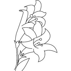 Fleurs 018 - Motif à décorer