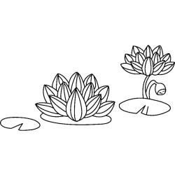 Fleurs 024 - Motif à décorer