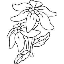 Fleurs 029 - Motif à décorer
