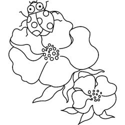Fleurs 050 - Motif à décorer