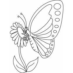 Fleurs et papillons 09 - Motif à décorer
