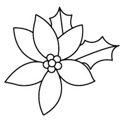 coloriage du houx de Noël