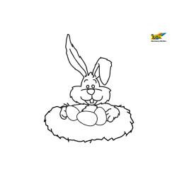 Lapin 64 - Motif à décorer