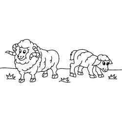 Coloriage mouton #09