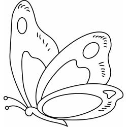 Papillon 08 - Motif à décorer
