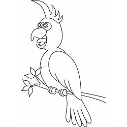 Imprimer le coloriage d'un gros perroquet