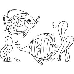 Poisson 21 - Motif à décorer