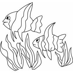 Poisson 11 - Motif à décorer
