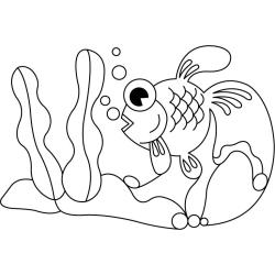 Poisson 09 - Motif à décorer