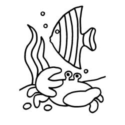 Poisson 30 - Motif à décorer