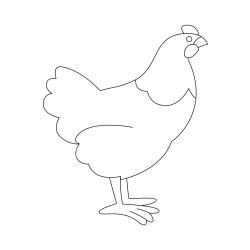 Poule 05 - Motif à décorer