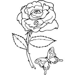 Rose 03 - Motif à décorer